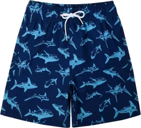 SUNDAY ROSE Swim Trunks for Boy Toddler Bathing Suits Little Kids Quick Dry Beach Board Shorts